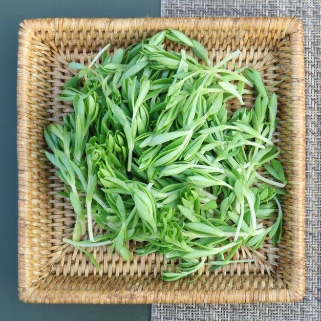 국내산 생 돌나물 봄나물 산나물, 1kg, 1개