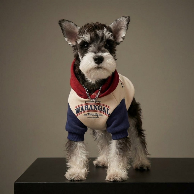 가을겨울 기모 강아지 후드티 소형견 비숑 푸들 슈나우저 고양이 보온 애견옷 스타일웨어 강아지 래시가드, 1개, 화이트 패치 레드와 블루