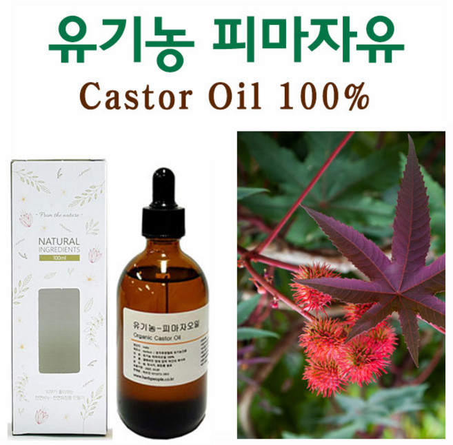 허브인 유기농(Organic)피마자오일 + 브러쉬증정, 유기농100ml, 1개
