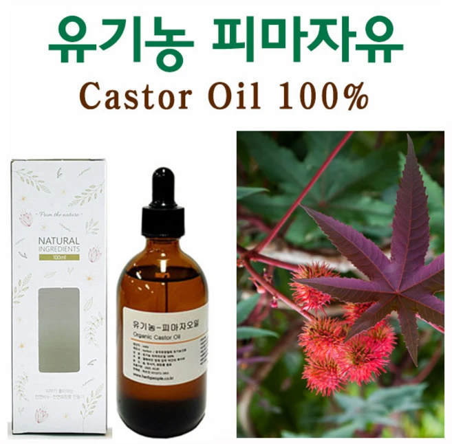 허브인 유기농(Organic)피마자오일 + 브러쉬증정, 유기농100ml, 1개 - 쿠팡