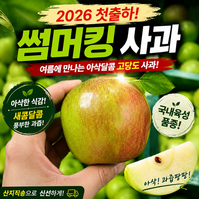 2026 첫출하 썸머킹 사과 프리미엄 고당도 산지직송 햇 여름사과, 1박스, 3kg
