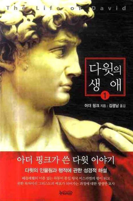 다윗의 생애 1, 뉴라이프