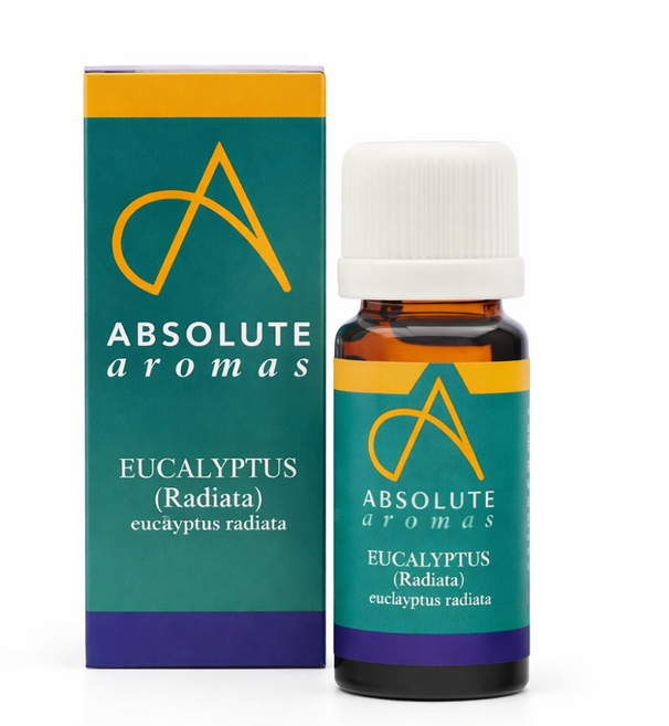 앱솔루트 에센셜오일 유칼립투스 라디아타 10ml, 1개