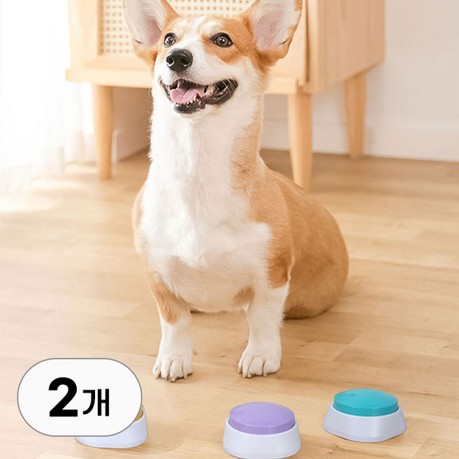 1+1 강아지 녹음벨 버튼 애견 말하기 훈련벨 말하는 강아지벨 의사 소통 부저 언어벨 간식 교육용 학습 녹음 간식벨, R79114B, 2개, 블루옐로우