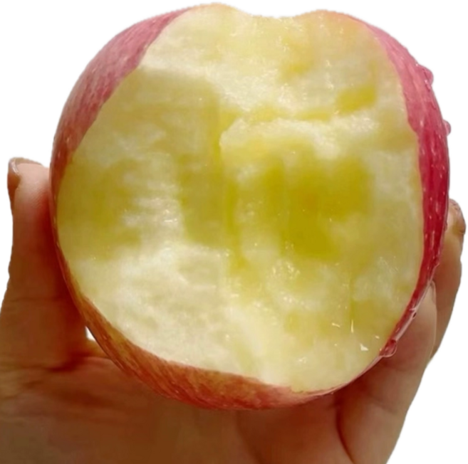 [24시간타임특가] 리뷰수1위 산지직송고당도 못난이사과 초특가할인, 1박스, 5kg