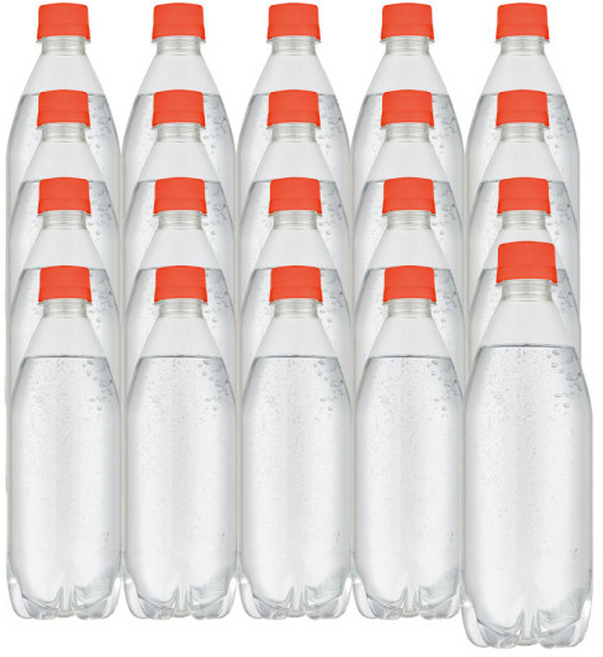 라인바싸 자몽 500ml 20개 x 2박스, 40개
