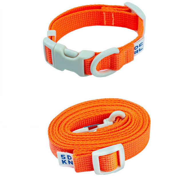 구름솜 강아지 목줄 + 리드줄 산책용품 세트 콜마이네임, 형광오렌지, 1개