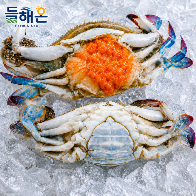 9위 - 들해온 국내산 서해안 급냉 알배기 암꽃게, 1박스, 2kg