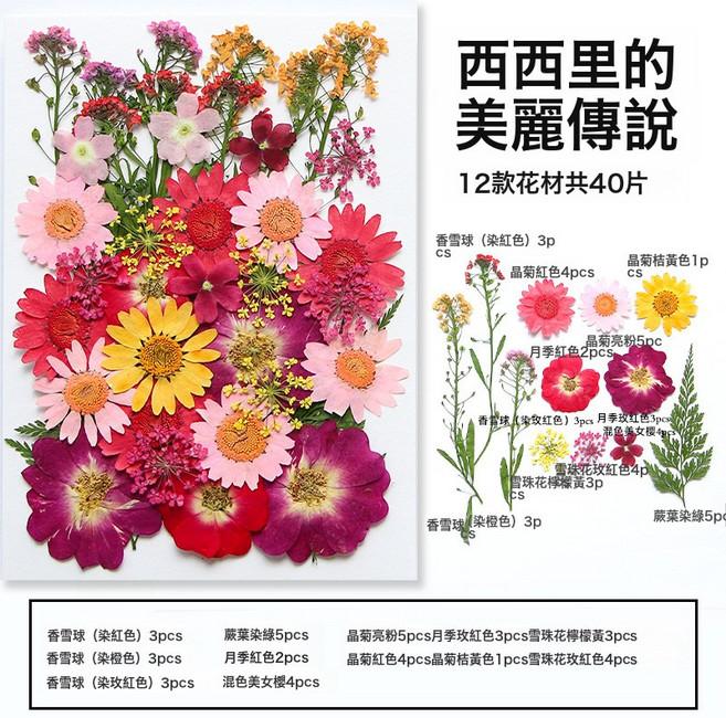 乾花diy 壓花DIY押花材料包寫真花瓣書籤真花滴膠幹樹葉植物標本, 1個, 西西里的美麗傳說(40片):1個