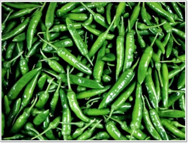 국내산 매운 청량고추 특품 1kg 2kg 3kg 5kg 10kg, 1박스, 청량고추 500g