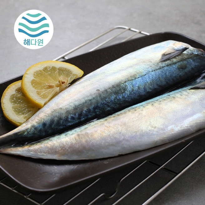 [해다원] 깔끔손질 제주산 고등어 필렛 5팩 대 (130g이상 5팩), 단품, 단품