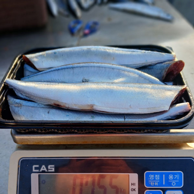국내산 손질 생물 꽁치 1kg(7미 내외), 1개, 1kg