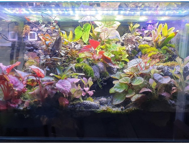 仿真植物牆裝飾苔蘚綠植造景素材盆栽水陸缸雨林缸, 1個