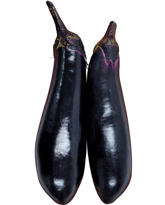 신선한 국내산 가지 GAP 스마트팜 당일수확 특품, 가지_550g(5입), 1개