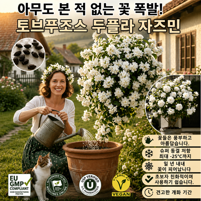 고급스러운 다두 겹꽃 垂丝자스민 가정용 화분식물 늘어지는 자스민 씨앗 향기좋은, 200알, 3개