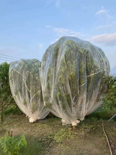 블루베리망 2x2x2m 새 조류 그물망 대형방조망, 1m 길이 1m 폭 1m 높이, 1개
