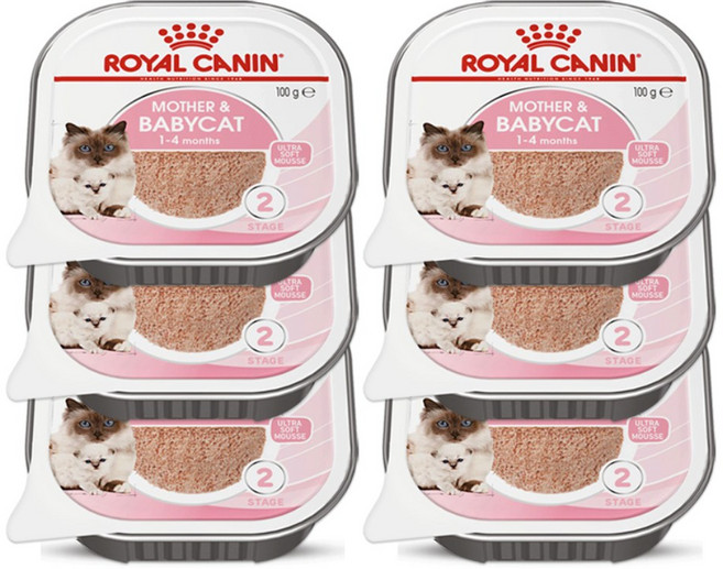 로얄캐닌 고양이사료 마더앤베이비캣트레이캔 트레이 100gX6P 캔사료 주식캔, 6개, 100g