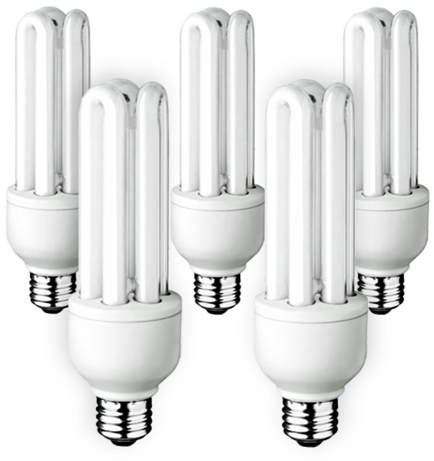 장수램프 삼파장전구 20W, 주광색, 5개