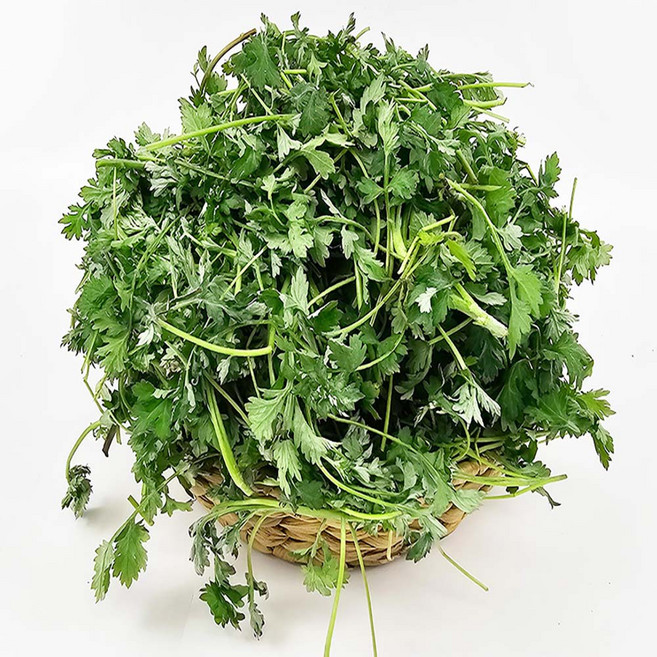 해풍맞고 자란 자연산 노지 쑥, 자연산 노지 쑥 1kg, 1개