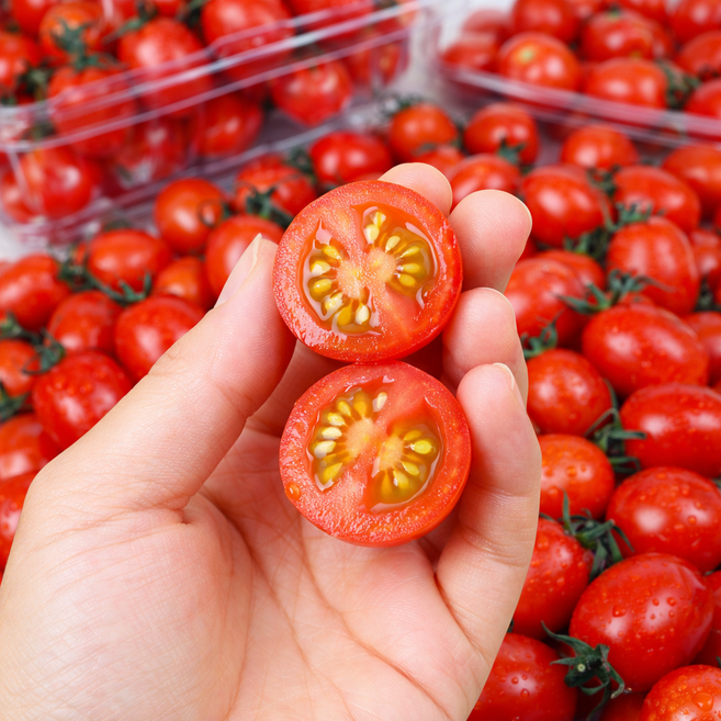 고당도 프리미엄 스테비아 방울토마토, 1개, 500g
