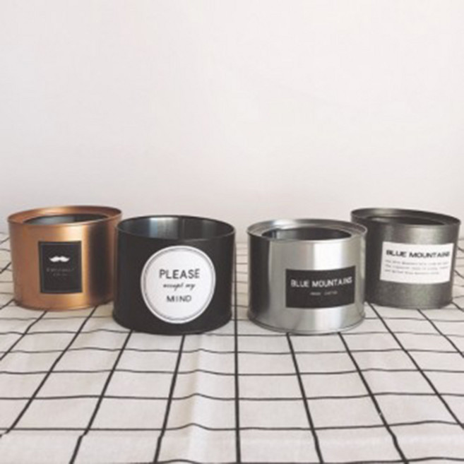 인테리어 바스켓 깡통화분, 실버