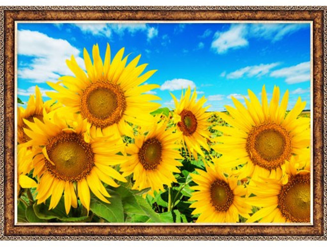 퍼즐갤러리 황금빛 해바라기 들판 풍경 1000피스 직소퍼즐액자 PG1021, 퍼즐+앤틱골드액자, 1개
