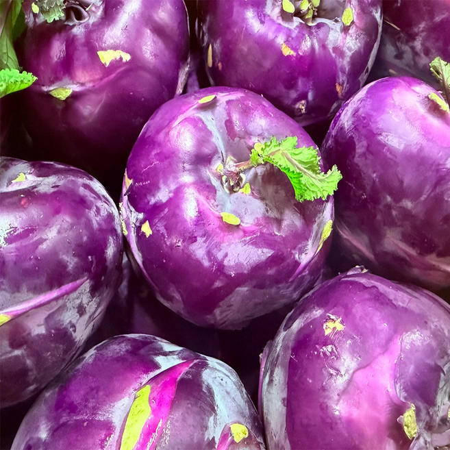 스마일프레쉬 산지직송 당일선별 제주 콜라비 특품, 1박스, 1kg