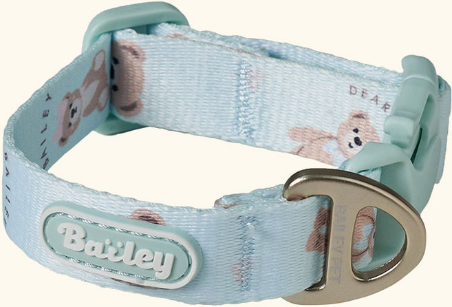 베일리펫 강아지 산책 초경량 웨빙 테디 워키 목줄, 1개, 민트