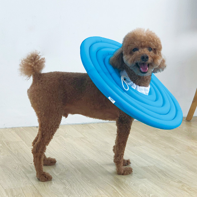 유앤펫 강아지 고양이 UFO 초경량 넥카라(시즌3), 1개, 스카이블루