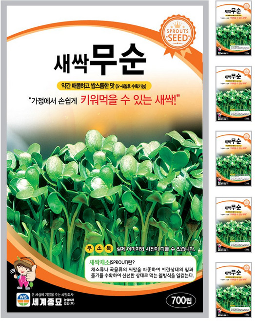 새싹무순 씨앗 700립 새싹씨앗 세계종묘 모칸도, 6개
