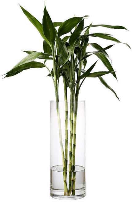 하이오브제 깨지지 않는 투명 대형 원통 화병 아크릴 어항 병