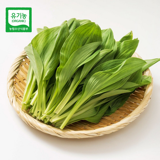친환경마음밭 지리산 유기농 산마늘 생 명이나물 장아찌 제철 봄 나물, 2개, 500g