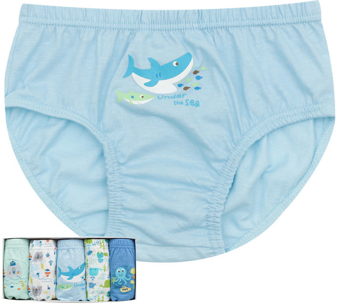 프레비니 순면 남 유아 아동 팬티 5종 세트 JHBPY203