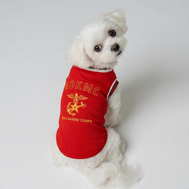 말랑마쥬 반려동물 커플티 코리아 로카티 아미 해병대 강아지옷 고양이옷, 1개, 해병대 [반려동물]