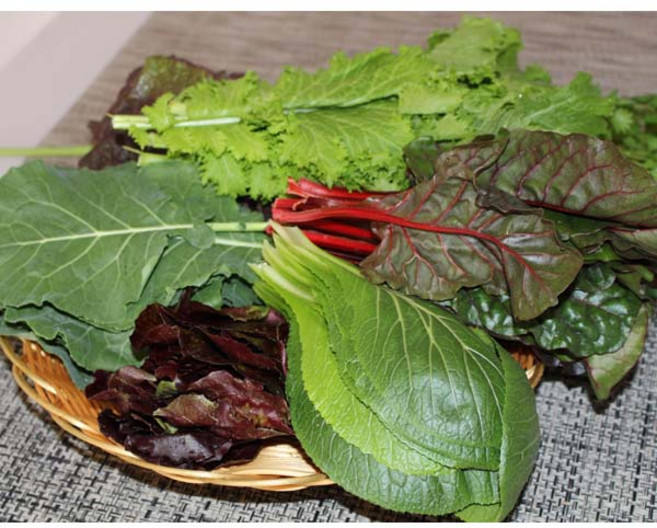 모듬쌈채소(7~8종) 2kg 1박스 자연대로팜웨이, 모듬쌈채소, 1개