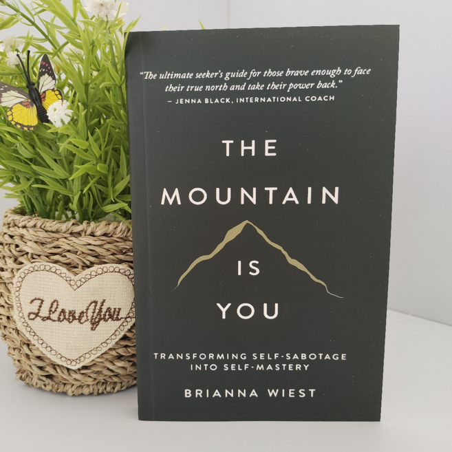 영어원서 베스트셀러 모음 / 자기계발/경영/건강/문학 영문도서 세트, The Mountain Is You, 1개