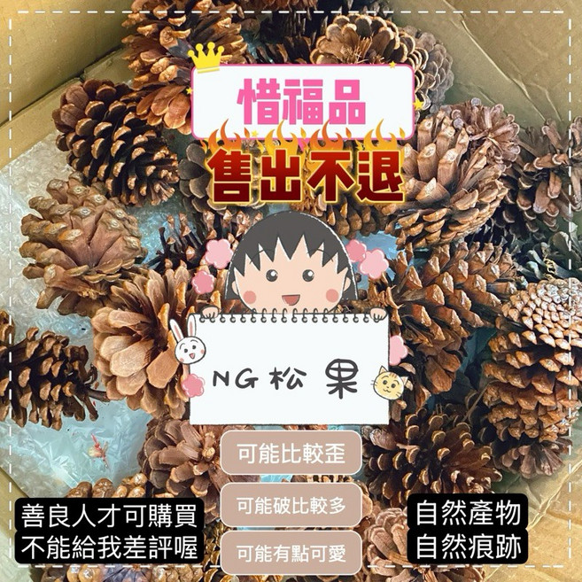 無名精選 綜合松果果實 DIY拍照道具 花圈佈置材料, 惜福品 NG松果/不挑7～12公分