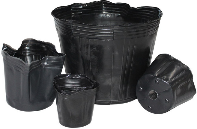 비닐포트 육묘 모종 분갈이 꽃 화분 소량 대량, 검정, 200개