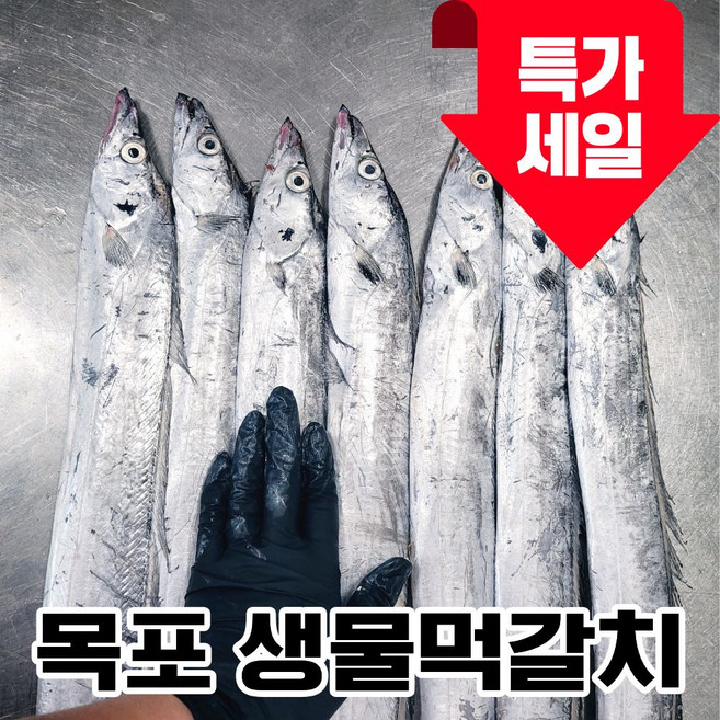 [목포직송] 국산 목포 먹갈치 생물갈치 한정수량, 1개, 3kg
