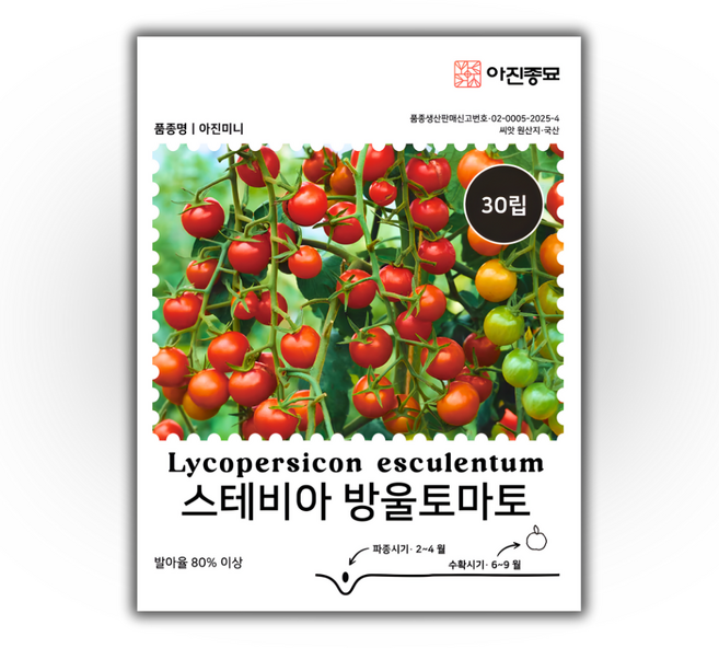 [주주씨앗] 스테비아 방울토마토 씨앗 30립 / 고당도 과일 토마토 종자, 1개
