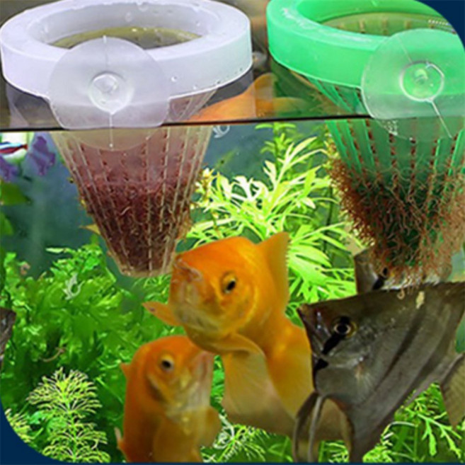 콩군하우스 어항 먹이급식기 고정먹이통, 그린