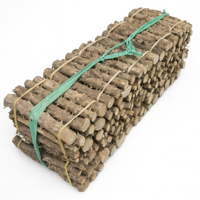 숲애 국산 가시 엄나무 400g 10단, 10개