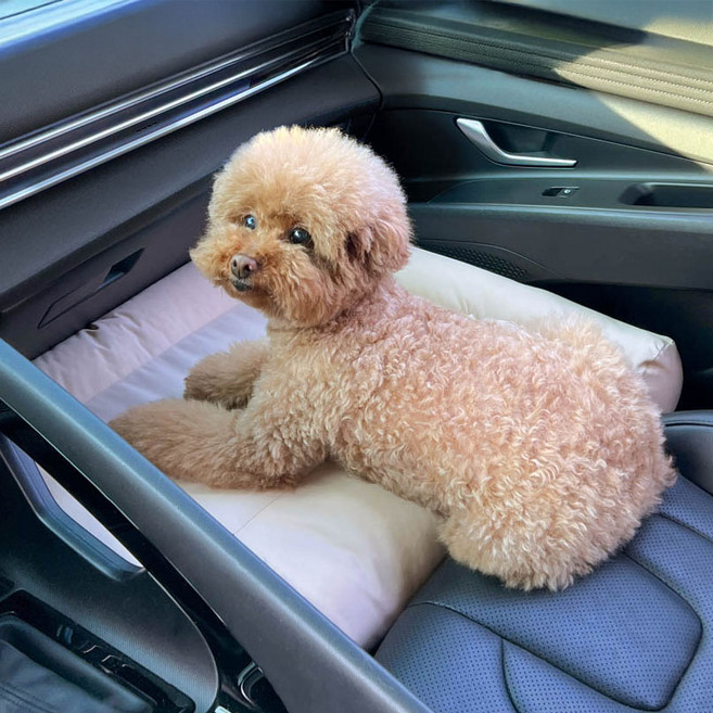 카스툴 강아지 앞좌석 추락 방지 카시트 중형견 대형견용 차량용 확장형 자동차 시트, 1개, 아이보리