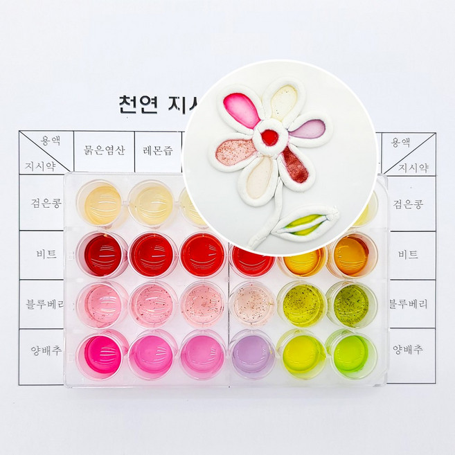 천연 지시약 작품만들기 (2인용) (검은콩 비트 블루베리 양배추), 1개