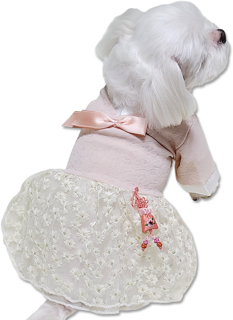 강아지한복 꽃도령 꽃낭자 고양이한복, 원피스-핑크