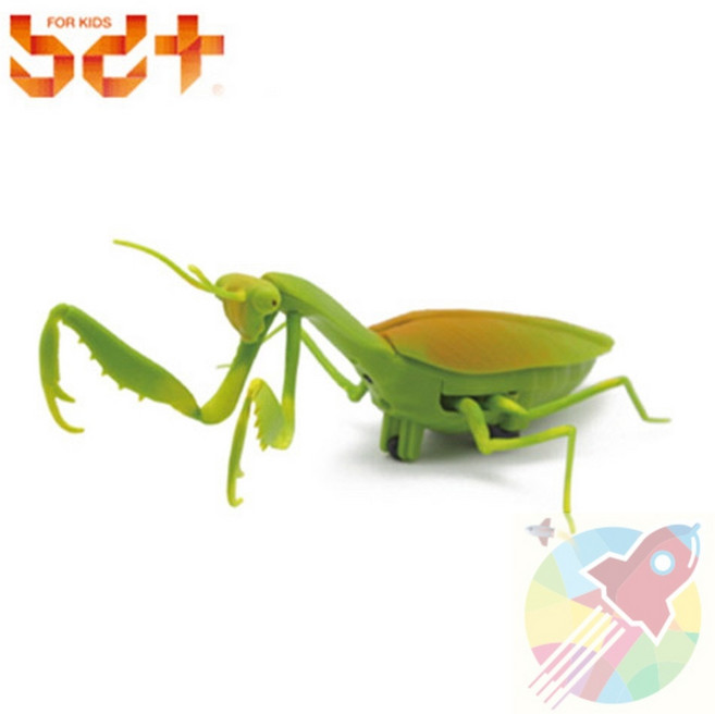 DPK 자이언트 사마귀 RC 곤충관찰용교구 곤충모형, 1개