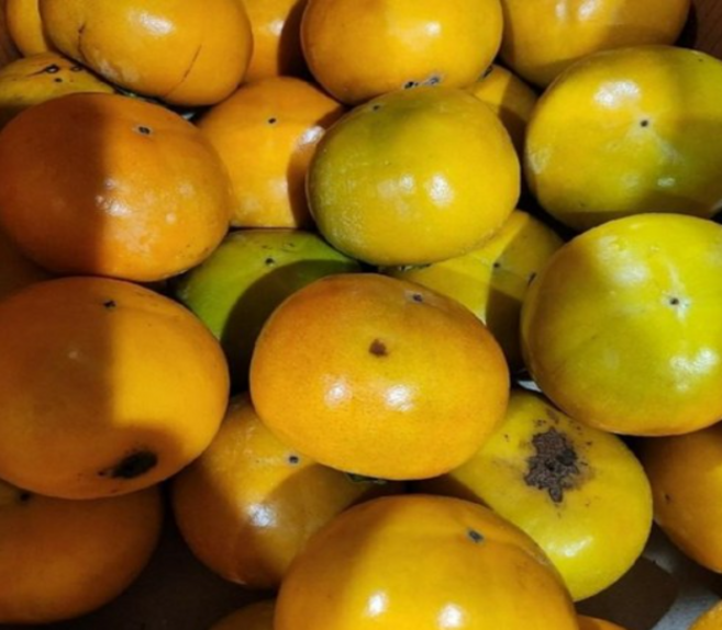 경남 단감 소과@혼합과 10kg박스, 1개, 4