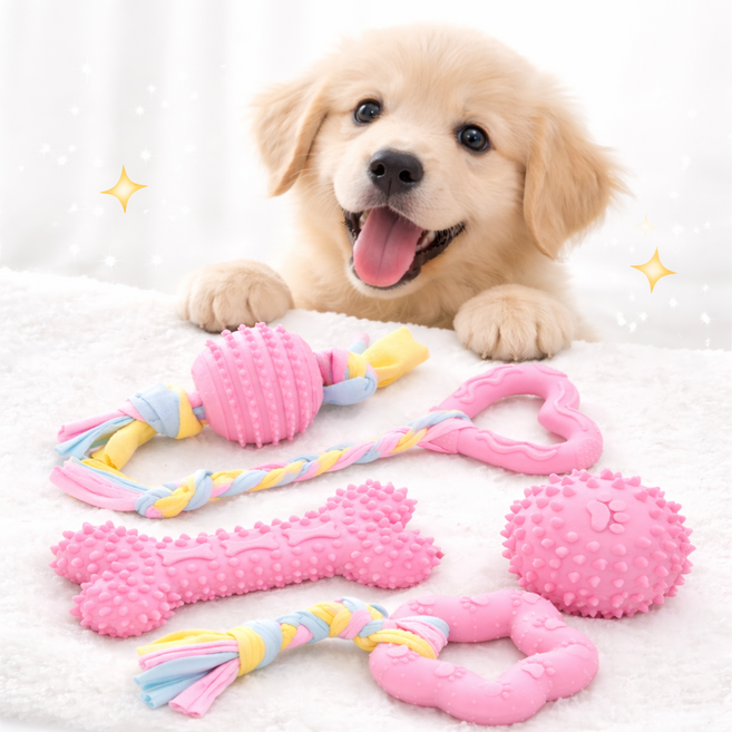리더스펫 강아지 이갈이 치발기 터그놀이 치석관리 장난감 5종 세트, 1세트, 핑크