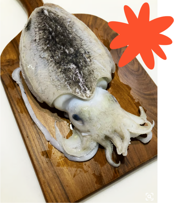 진토백미 국내산 손질 갑오징어 생물 국산 100% 당일조업 선주직송 회, 1박스, 손질완료 1kg