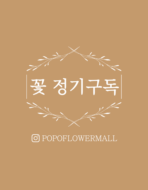 [포오포오플라워몰] 생화 꽃다발 정기구독03 (대형꽃다발) 생화 정기배송 서비스 까페꽃테리어 꽃테리어 꽃집사, 01)대형꽃다발/ 꽃만, 1개